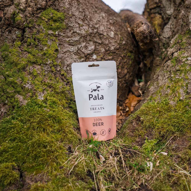 Pala Hundeleckerli Deer Treats, 100g Fleischsnacks