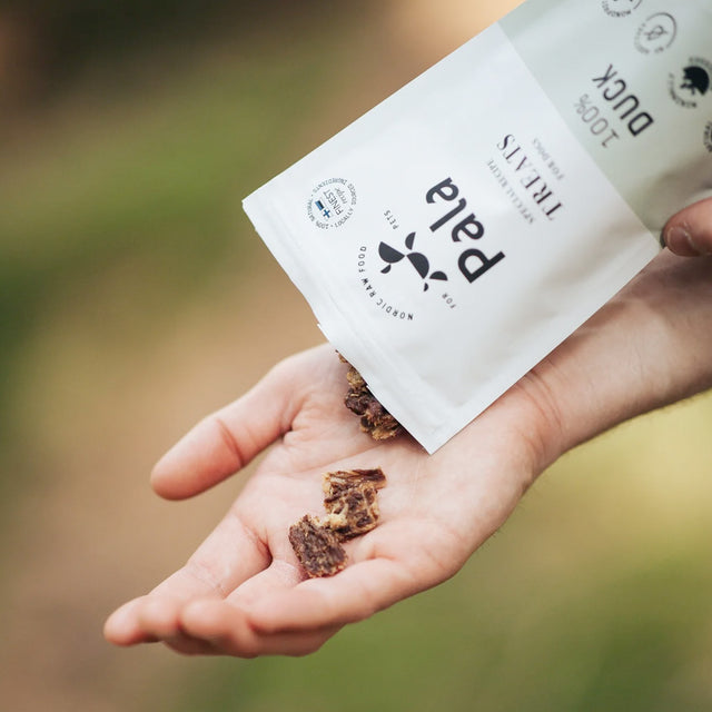 Pala Hundeleckerli Duck Treats, 100g