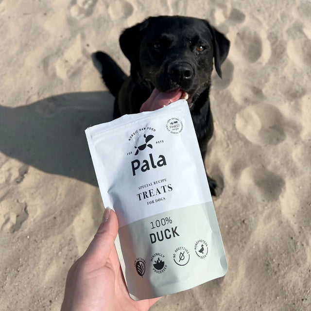 Pala Hundeleckerli Duck Treats, 100g