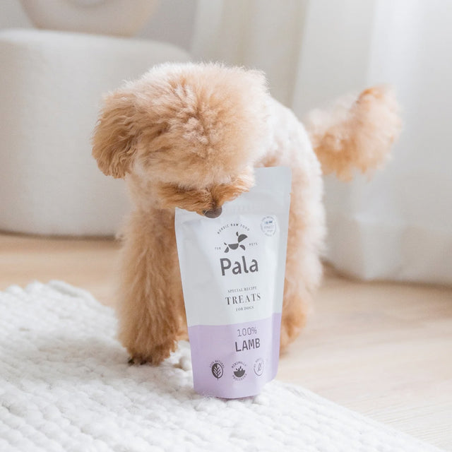 Pala Hundeleckerli Lamb Treats, 100g