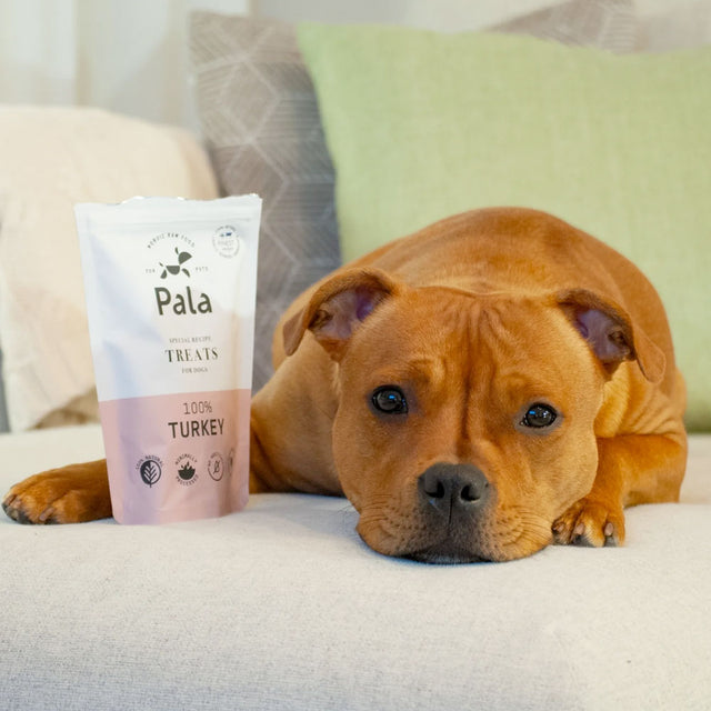 Pala Hundeleckerli Turkey Treats, 100g