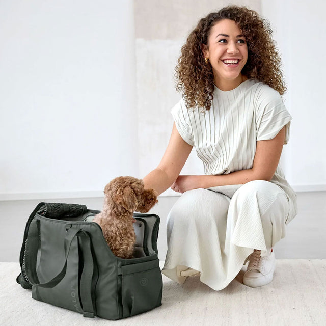 PALOPA Hundetragetasche Weda, Dunkelgrün Hundetragetasche
