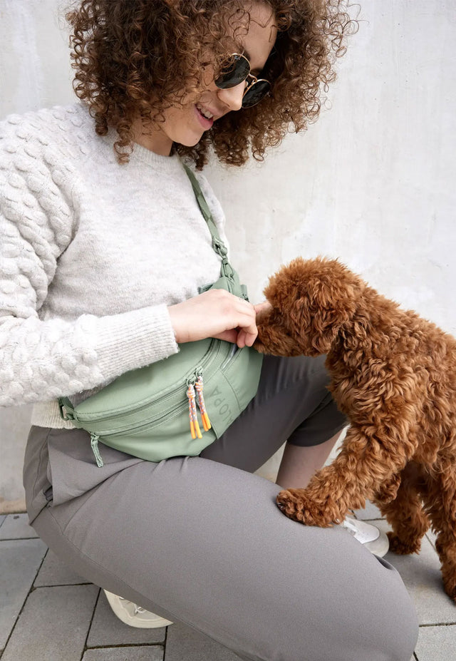 PALOPA Leckerlibeutel Emma, Silbergrün Leckerlibeutel