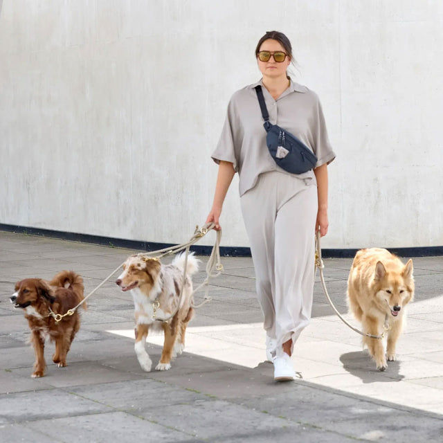 PALOPA Leckerlibeutel Emma, Dunkelblau Leckerlibeutel