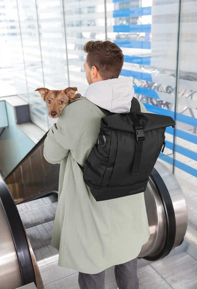 PALOPA Rolltop Rucksack Yoska, Schwarz Rucksack