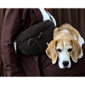 PALOPA Leckerlibeutel Bum Bag Emma Teddy-Fleece, Brownie Leckerlibeutel