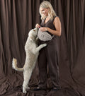 PALOPA Leckerlibeutel Bum Bag Emma Teddy-Fleece, Taupe Leckerlibeutel