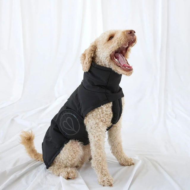 PALOPA Wintermantel Nolia Short, Black Hundemantel