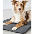 PALOPA Hundematte Alma, Dunkelgrau Hundedecke