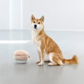 PALOPA Hundespielzeug Brino, Rosa Interaktiv