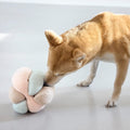 PALOPA Hundespielzeug Brino, Rosa Interaktiv