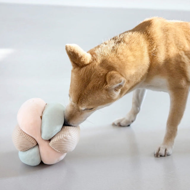 PALOPA Hundespielzeug Brino, Rosa Interaktiv