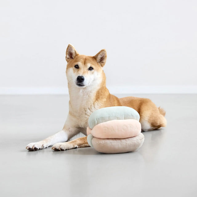 PALOPA Hundespielzeug Brino, Rosa Interaktiv