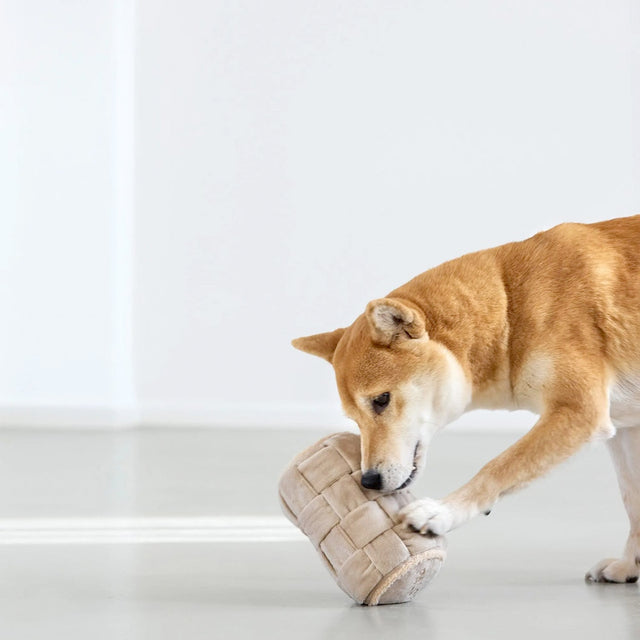 PALOPA Hundespielzeug Kalpi, Beige Interaktiv