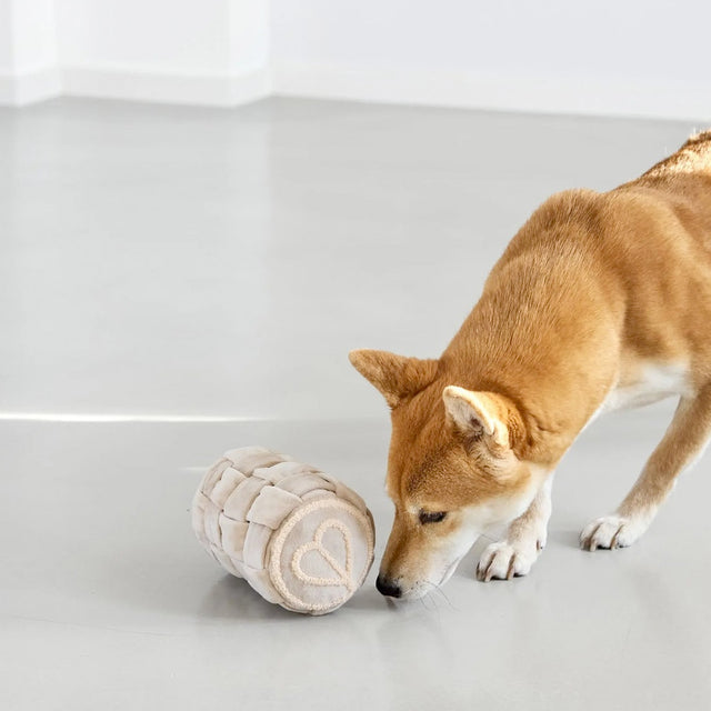 PALOPA Hundespielzeug Kalpi, Beige Interaktiv
