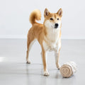 PALOPA Hundespielzeug Kalpi, Beige Interaktiv