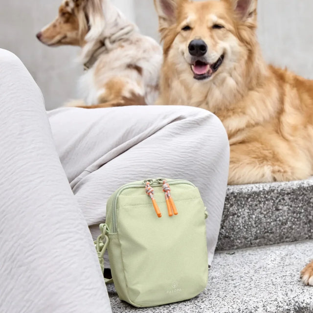 PALOPA Leckerlibeutel Greta, Khaki - Limited Edition Leckerlibeutel