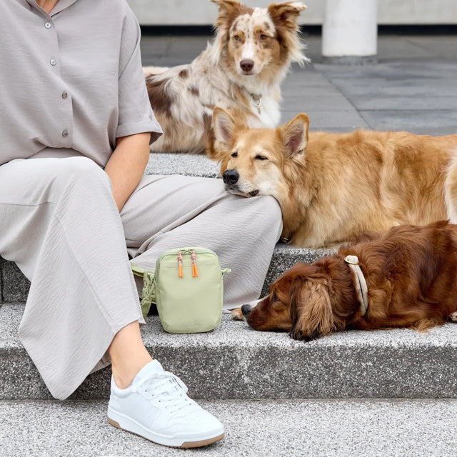 PALOPA Leckerlibeutel Greta, Khaki - Limited Edition Leckerlibeutel