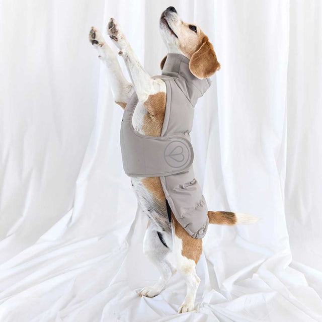 PALOPA Wintermantel Nolia Short, Taupe Hundewintermantel