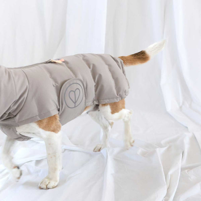PALOPA Wintermantel Nolia Short, Taupe Hundewintermantel