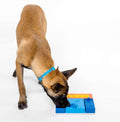 Pawzler Dog Puzzle Beginner Set Interaktiv