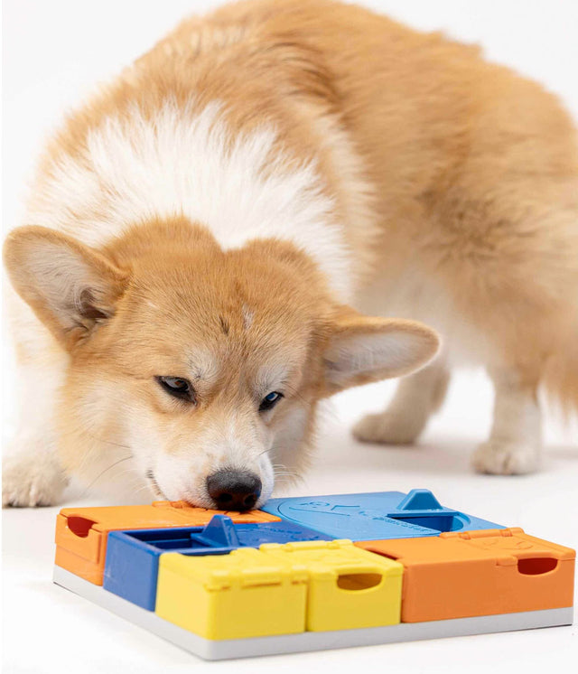 Pawzler Dog Puzzle Rainbow Set Interaktiv