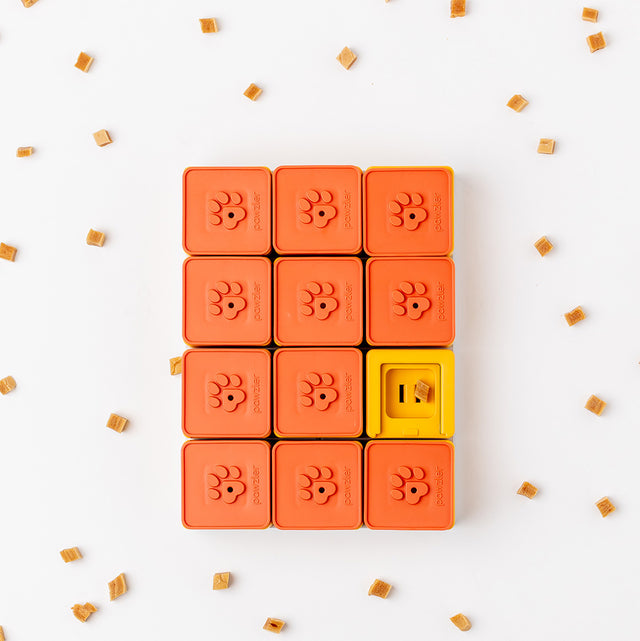 Dog Puzzle Treat Maze