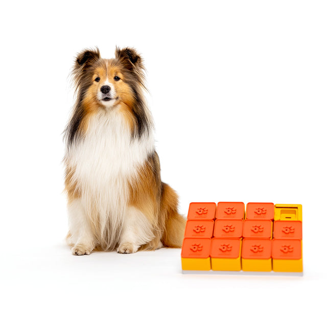 Dog Puzzle Treat Maze