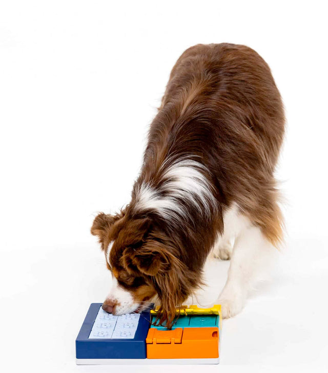 Pawzler Dog Puzzle Smarty Set Interaktiv