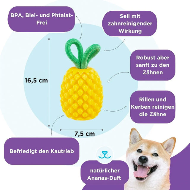 Planet Dog Hundespielzeug Dental Pineapple Interaktiv