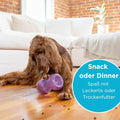 Planet Dog Hundespielzeug Orbee-Tuff® Double Snoop, Purple Interaktiv