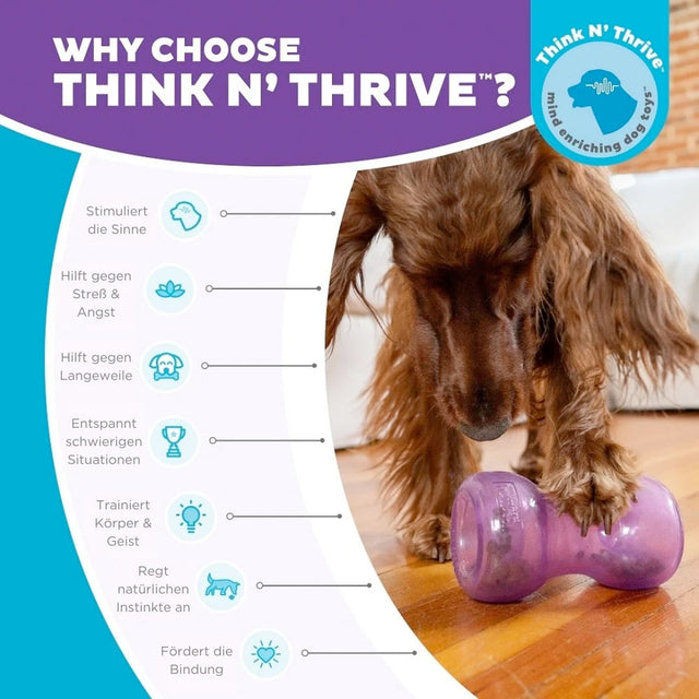 Planet Dog Hundespielzeug Orbee-Tuff® Double Snoop, Purple Interaktiv