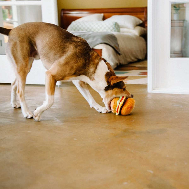 Hundespielzeug, Barky Burger