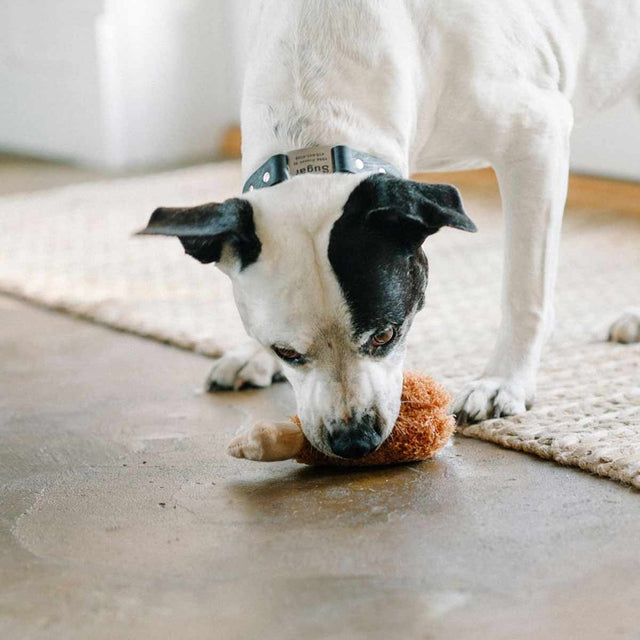 P.L.A.Y. Hundespielzeug, Flubby's Fried Chicken Stoffspielzeug