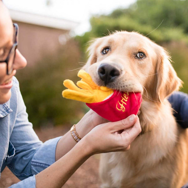 Hundespielzeug, French Fries
