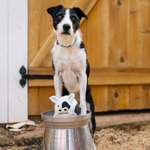 P.L.A.Y. Hundespielzeug, Cole the Cow Stoffspielzeug