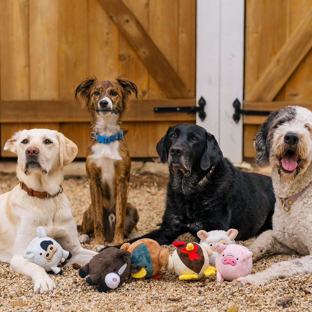 P.L.A.Y. Hundespielzeug, Cole the Cow Stoffspielzeug