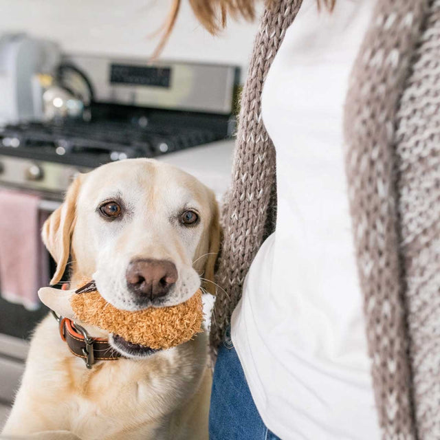 P.L.A.Y. Hundespielzeug, Flubby's Fried Chicken Stoffspielzeug