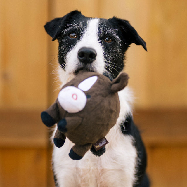 P.L.A.Y. Hundespielzeug, Harley the Horse Stoffspielzeug