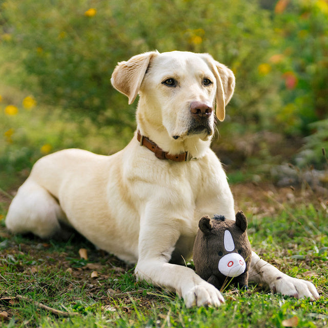 P.L.A.Y. Hundespielzeug, Harley the Horse Stoffspielzeug