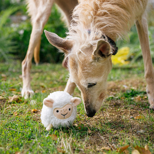 P.L.A.Y. Hundespielzeug, Sadie the Sheep Stoffspielzeug
