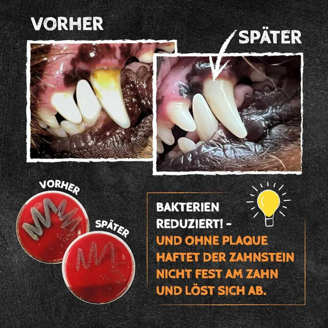QChefs Zahnputzflocken, 90g Zahnpflege