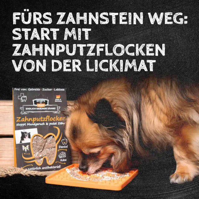 QChefs Zahnputzflocken, 90g Zahnpflege