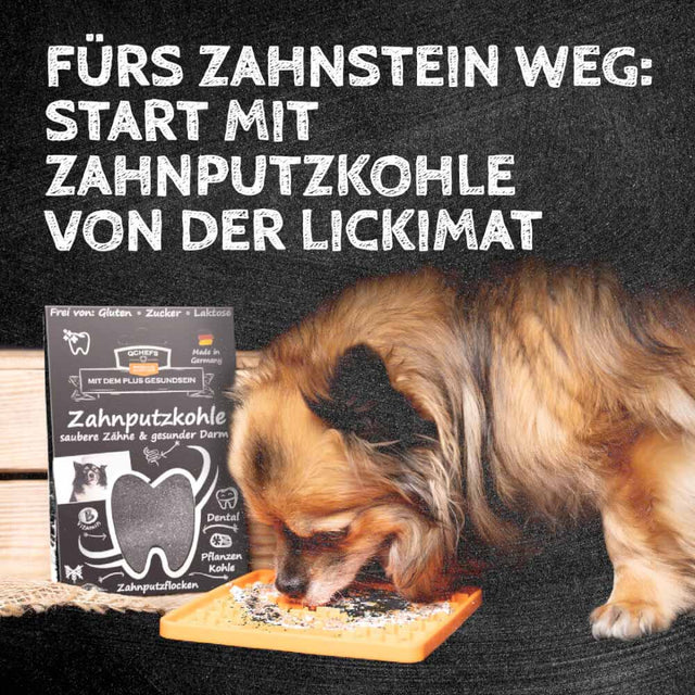 QChefs Zahnputzkohle, 80g Zahnpflege