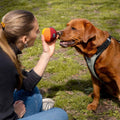 Redoggo Hundespielzeug Ball, Bunt Stoffspielzeug