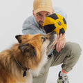 Redoggo Hundespielzeug Ball, Bunt Stoffspielzeug