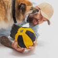 Redoggo Hundespielzeug Ball, Bunt Stoffspielzeug