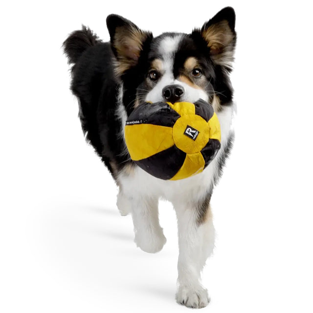 Redoggo Hundespielzeug Ball, Bunt Stoffspielzeug