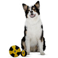 Redoggo Hundespielzeug Ball, Bunt Stoffspielzeug