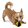 Redoggo Hundespielzeug Ball, Bunt Stoffspielzeug